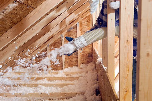 Best Eco-Friendly or Green Insulation Solutions in Lakewood, IL